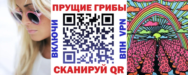 OMG tor  Задонск  Галлюциногенные грибы GOLDEN TEACHER 