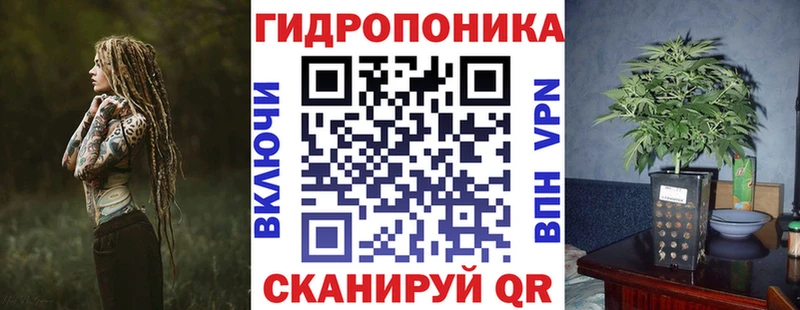 Бошки Шишки SATIVA & INDICA  как найти закладки  Задонск 